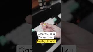 NuPhy Halo 65 + Gateron Milky Yellow Pro Switches