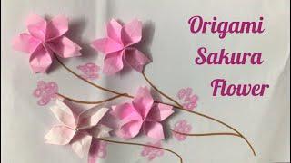 Origami Sakura flower paper cherry blossoms simple paper crafts diy 