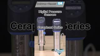 Revolutionize Your Process With Endress Hauser Digital Pressure Sensors At AutomationDirect