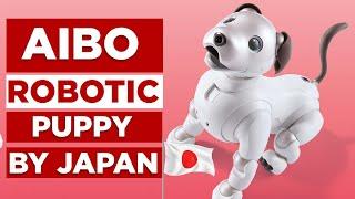 Meet Aibo Japans Next-Level Robotic Pet of 2024