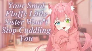 Your Smol Fluffy Little Sister Wont Stop Cuddling You ASMR