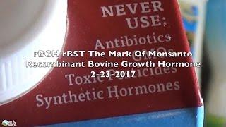 rBGH rBST The Mark Of Monsanto Recombinant Bovine Growth Hormone 2-23-2017  Organic Slant