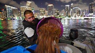 Shrimping in Miami from Boats and Bridges Fishman Joe