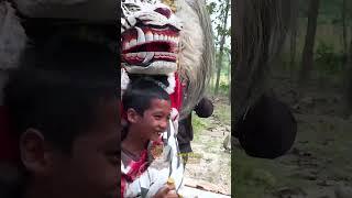 Nantang Barongan Ketangkap Auto Nangis  #shorts #baronganngamuk