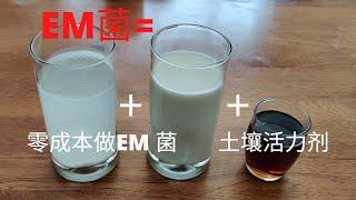 【自制有机肥】自制EM菌  在家零成本制作EM菌  土壤活力剂 实现免耕种植