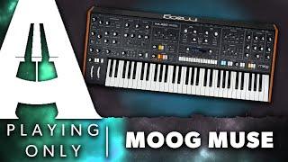 Moog Muse Analog Bi-Timbral Synth  Playing Only Demo