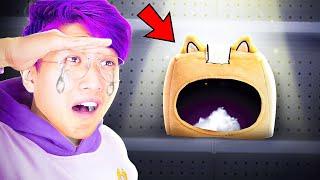 LANKYBOXS MERCH WAS STOLEN? HELP US FIND IT *OUR FAVORITE TOY UNBOXING EVER*