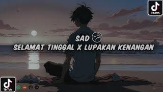 DJ SAD SELAMAT TINGGAL X LUPAKAN KENANGAN  Hendra 98 Remix  TERBARU 2024