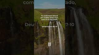 Deuteronomio 287-10 #biblevision #biblia #bible