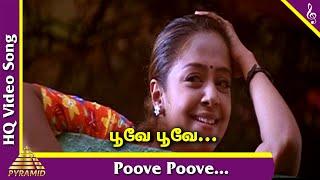 Poove Poove Video Song  Poovellam Kettupar Tamil Movie Songs  Suriya  Jyothika  Yuvan