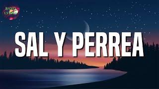  Reggaeton  Sech - Sal y Perrea  Ozuna J Balvin Bad Bunny Mix