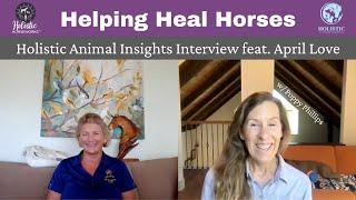 Helping Heal Horses with April Love on Holistic Animal Insights