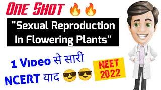 Sexual Reproduction In Flowering Plants In One Shot Full Ncert Covered  Neet 2022