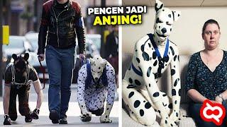 Suaminya Jadi Anjing Peliharaan Begini Kehidupan Aneh Orang² yang Sudah Bosan Jadi Manusia