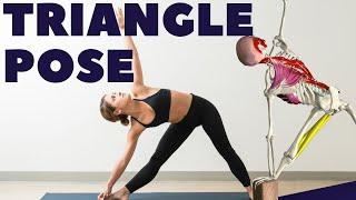 The Triangle Pose Anatomy Common Problems & Solutions