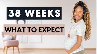 38 WEEKS PREGNANT What You NEED To Know For You & Baby  WHAT TO EXPECT  KIDS OT HELP PREGNANT