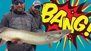 Thorne Bros  Leaving Canada With a BANG Musky fishing