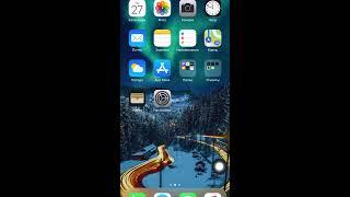 Как вывести виртуальную кнопку home на iPhone 6s78XXr11 iOS 13 и выше