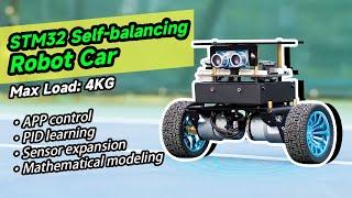 STM32 Self-balancing Robot CarLoad4KG