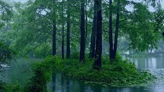 The beautiful little lake is raining165  sleep relax meditate study work ASMR
