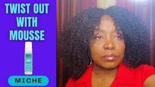 Type 4 Natural Hair Twist Out with Mousse  Miche Set Mousse