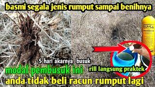 CUKUP 1 BUTIR 1 TENKI 5 HARI LANGSUNG BUSUK TIDAK ADA RUMPUT LUDES DENGAN PEMBUSUK INI ASLI BUKTIKA