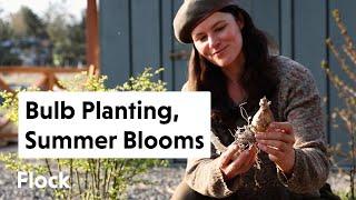 Planting BULBS in Spring for SUMMER BLOOMS — Ep. 252