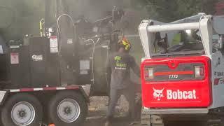 Tree Removal Crew Removing Large Dead Tree For City Park Dog Area  Jack Marley Park Angier NC