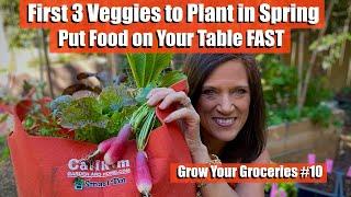 3 Vegetables to Plant FIRST in Spring to Put Food on Your Table FAST  Grow Your Groceries #10