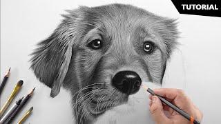 How to draw a dog  easy  easy dog drawing step by step