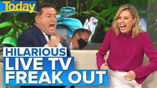 Aussie host storms off after cruel snake #prank on live TV  Today Show Australia