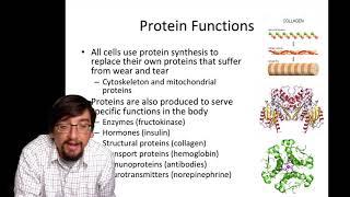 BIOL1322 - Chapter 6 Summary