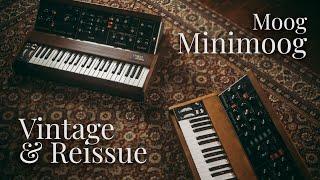 Prelude for two Minimoogs Vintage & Reissue