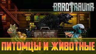 Barotrauma Питомцы и Животные  Как вырастить и чем кормить питомцев