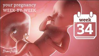 34 Weeks Pregnant - Natural Pregnancy Week-By-Week