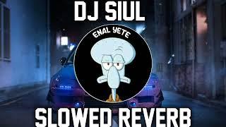 DJ SIUL SLOWED + REVERB 