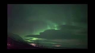 Northern Lights Timelapse  - Lapland Sweden