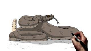 How To Draw A Rattlesnake  Step By Step 