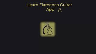 Learn Flamenco Guitar App- The best Flamenco Guitar method available.