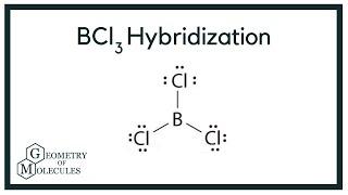 BCl3 Boron Trichloride Hybridization