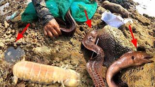 Berburu saat air surut ketemu moray eel udang mantis gurita dan ikan lezat