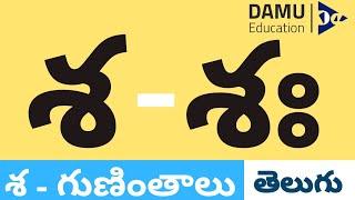 శ - గుణింతం  శ - తెలుగు గుణింతాలు  Easy to Learn Telugu Guninthalu  Damu Education Telugu #Damu