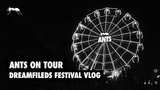 ANTS on Tour  Dreamfields Festival Vlog