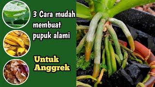 Cara membuat pupuk alamiorganik untuk anggrek agar cepat berbunga #anggrek #pupukalami #anggrek