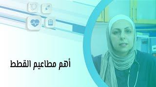 أهم مطاعيم القطط