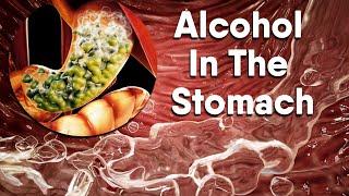 Alcohol increases acid in the stomach Dandelion Team