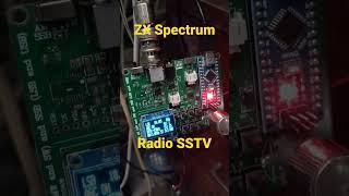 Radio SSTV and ZX Spectrum computer