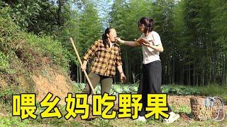 山上采摘山野果，喂给幺妈吃，有个好孩子太幸福了【幺妈和幺叔】