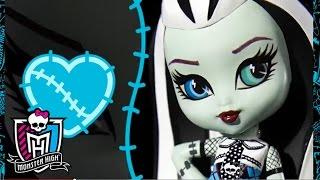 Monster High Vinyl Figures  Monster High