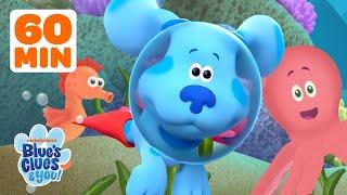 Blue Dives Into Underwater Adventures  w Josh  60 Minute Compilation  Blues Clues & You